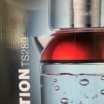 چای ساز فلر مدل TS 289